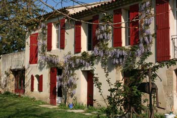 mas lou colou chambres d'hote plaine de cavaillon vaucluse